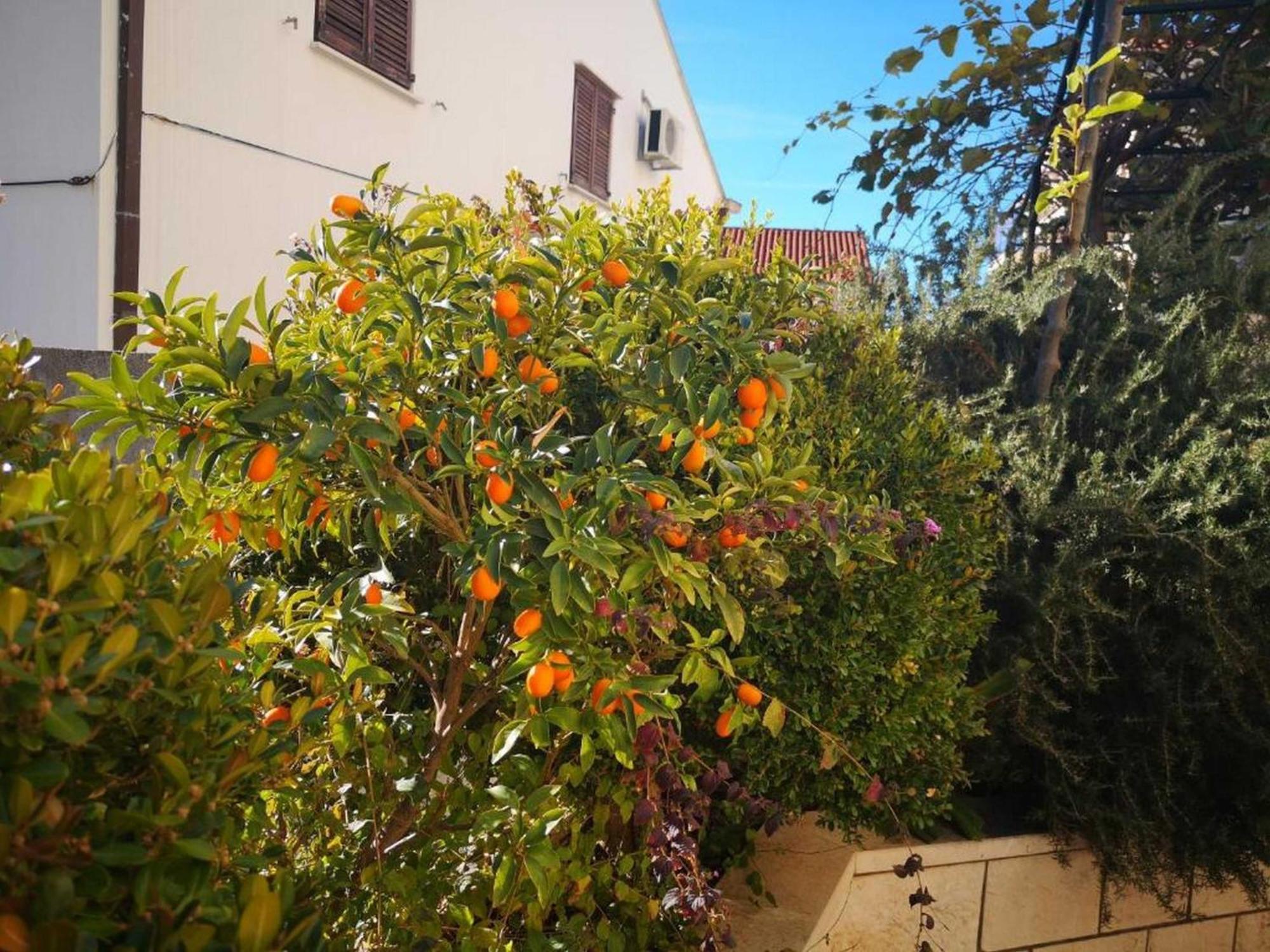 City Apartments Lani Dubrovnik Luaran gambar